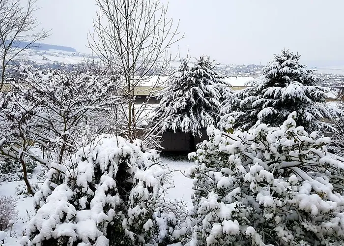 Apartment La Geiss *